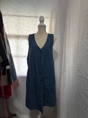 Premier Denim Button-Front Midi Dress in Blue